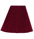AMPLIFIED VAMPIRE RED