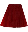 AMPLIFIED ROCK AND ROLL RED